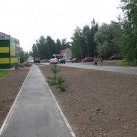 image00005